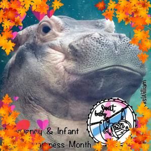 Meet your Posher, Cheryl